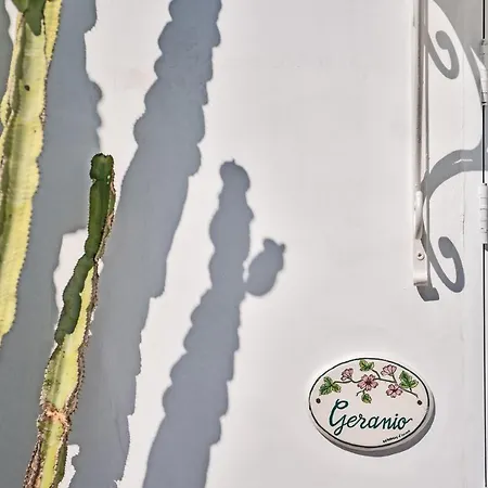 Palazzo Mosco - Dimora Storica 4* גאליפולי